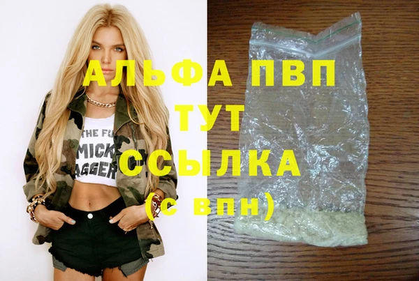 СК Вяземский