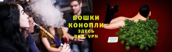 шишки Володарск