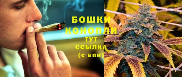 шишки Володарск