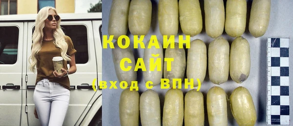 шишки Володарск