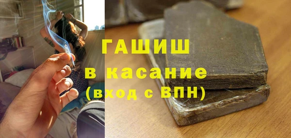индика Верхний Тагил